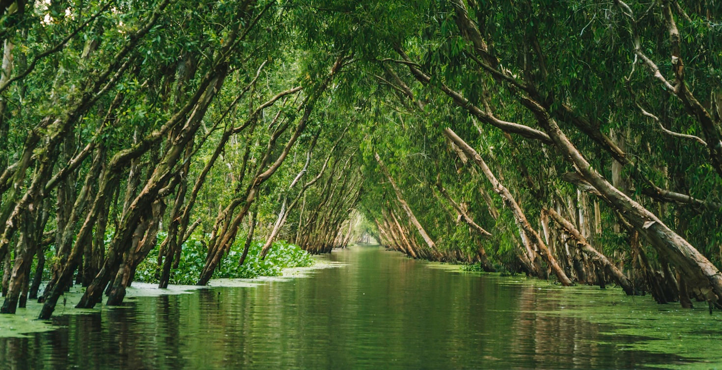 Exploring An Giang’s Iconic Landmarks