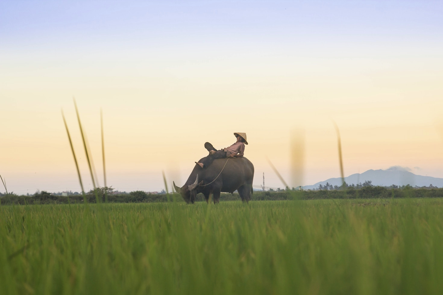 Community Heroes: Stories from An Giang